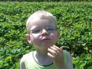 tasting fresh strawberries