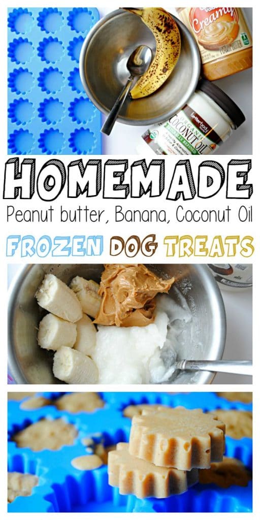 homemade peanut butter banana dog treats