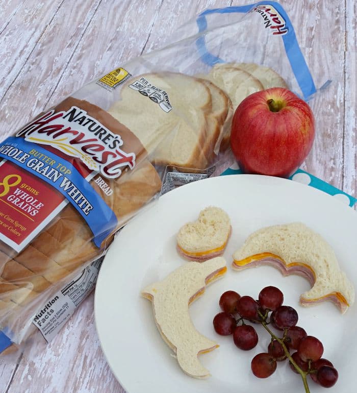 Nature’s Harvest® Sandwich Art Photo Contest